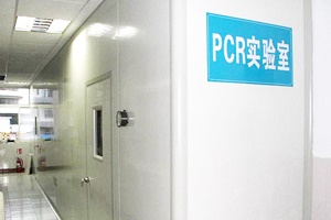 PCR實驗室設計規劃，從0開始