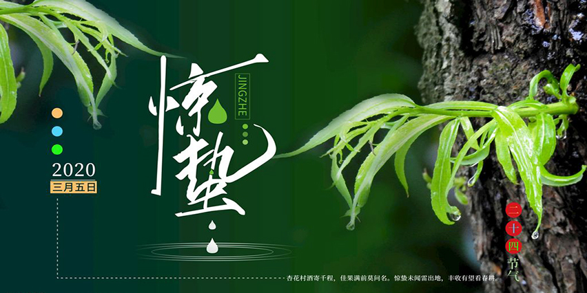 【節(jié)氣】今日驚蟄，我們定將戰(zhàn)勝疫情，走向春天